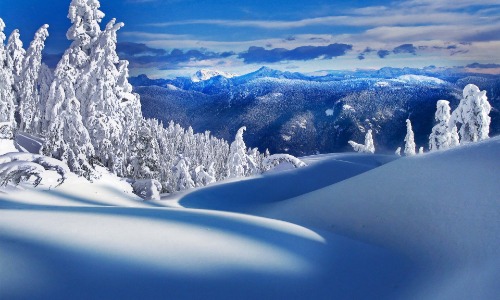 Winter