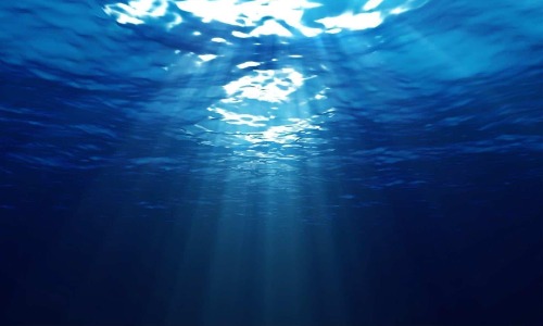 Ocean